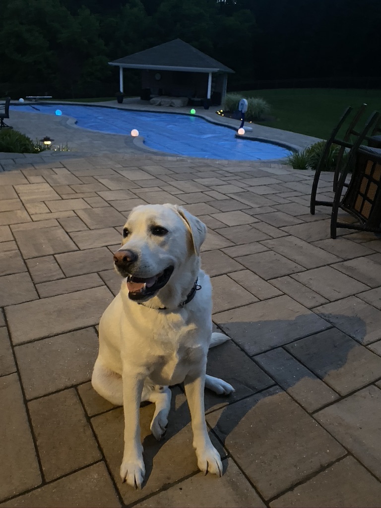 Gus pool attendant