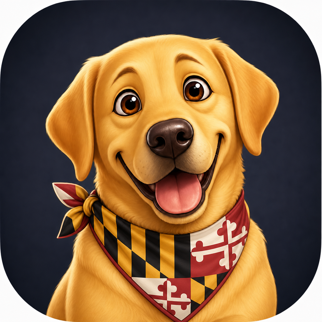 Sarge yellow lab